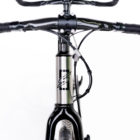 Santana Tandem - Synergy